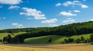 Surrey countryside